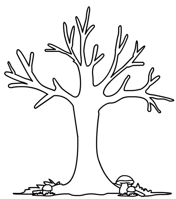 Kleurplaat Kale Boom • Kidkleurplaat.nl