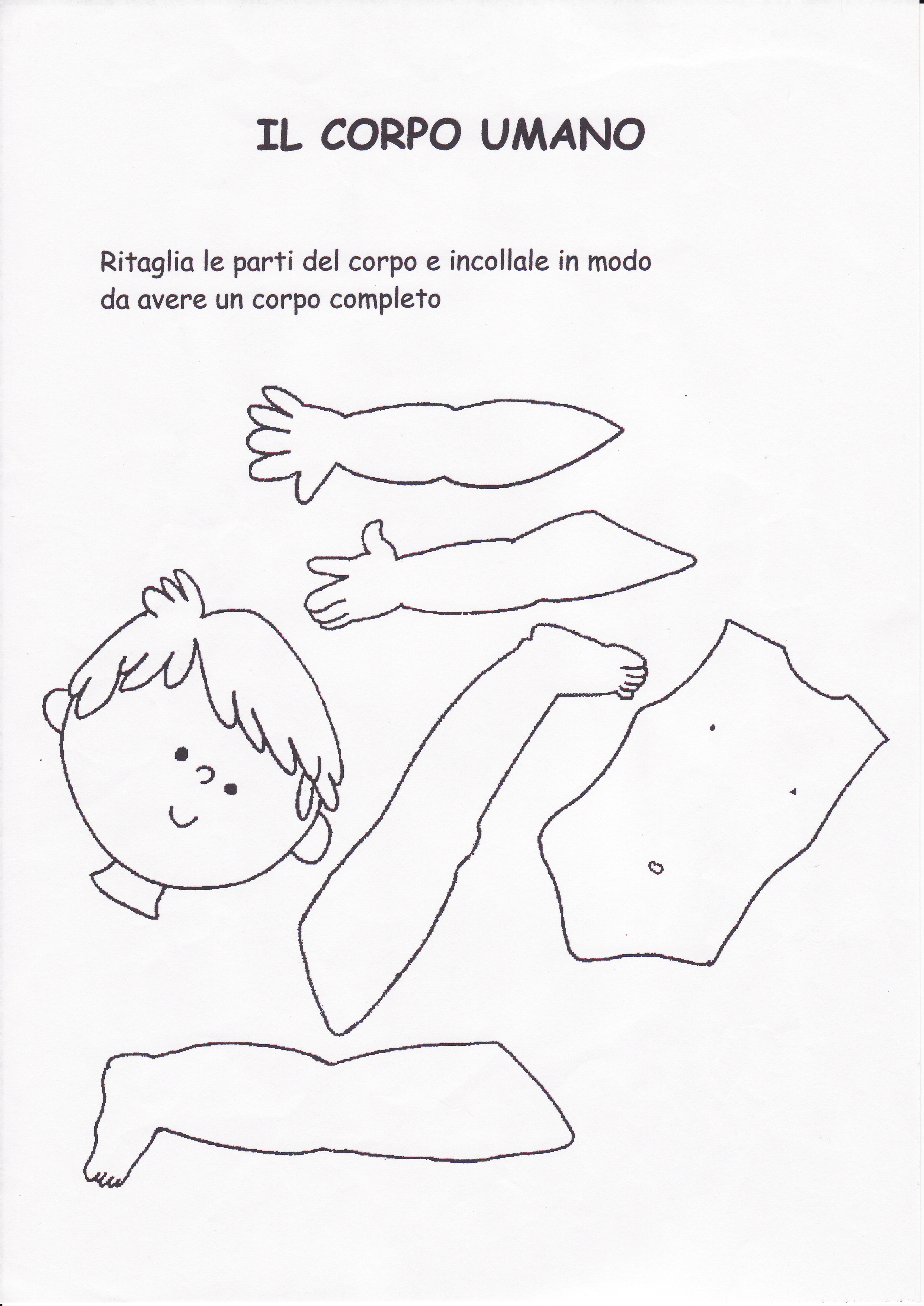 Disegni Per Bambini Corpo Umano Fare Di Una Mosca