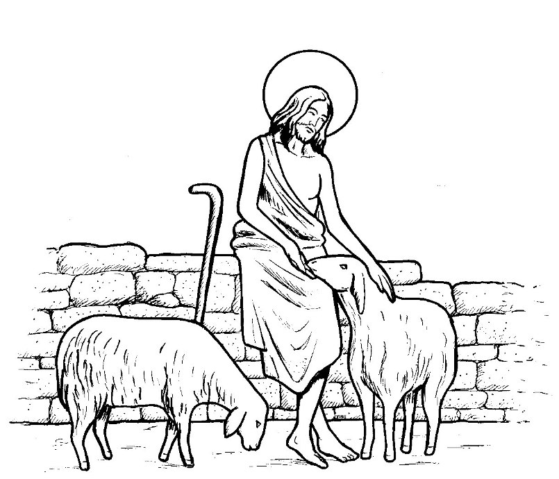 Il Buon Pastore La Parabola Di Gesu Buon Pastore