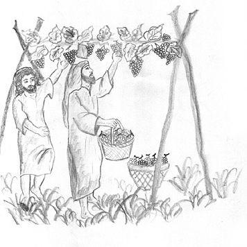 i lavoratori della vigna da colorare