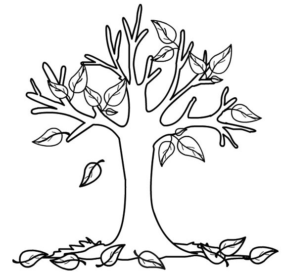 Albero Autunno Albero Autunnale