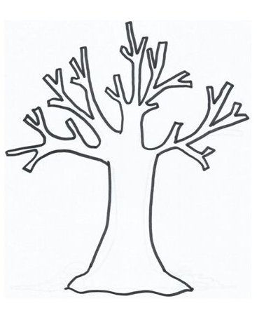 Albero Autunno Albero Autunnale