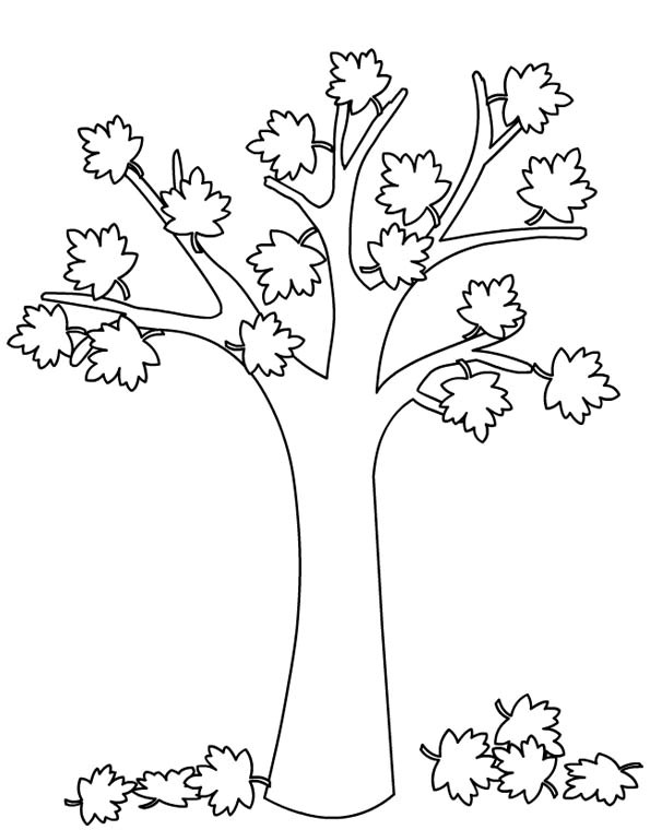 Albero Autunno Albero Autunnale